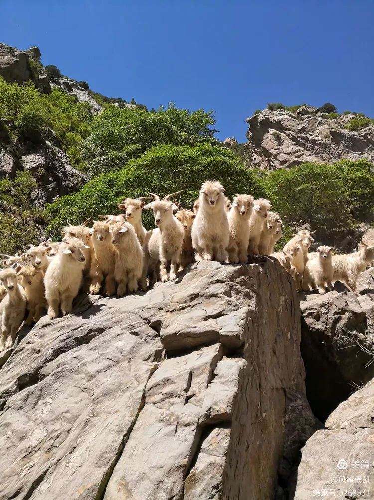 大青山游击队游击区纳令沟